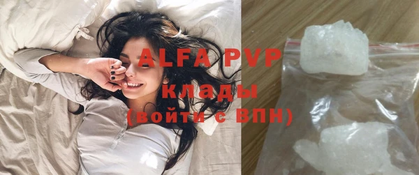 индика Алексин