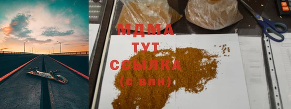 индика Алексин