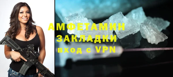 индика Алексин