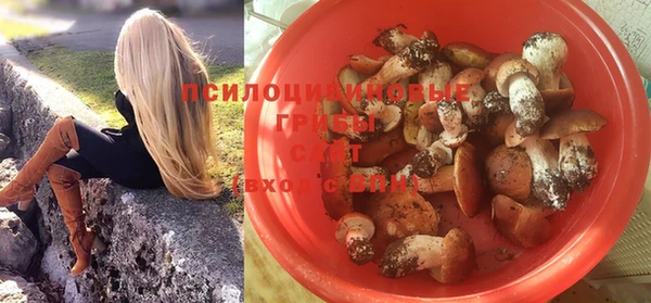 прущий лед Алексеевка