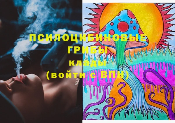 индика Алексин