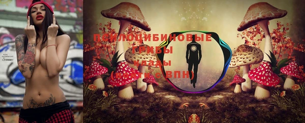 каннабис Алзамай