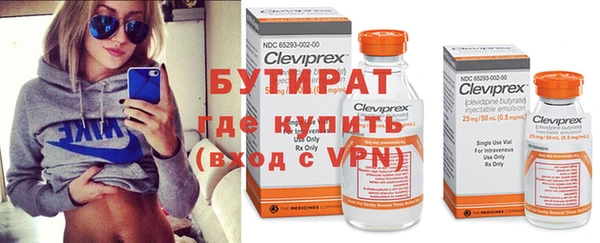 индика Алексин