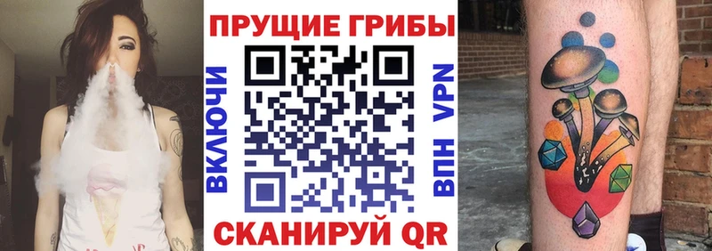 Галлюциногенные грибы Psilocybine cubensis  Цивильск 